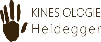 Kinesiologie Heidegger Logo